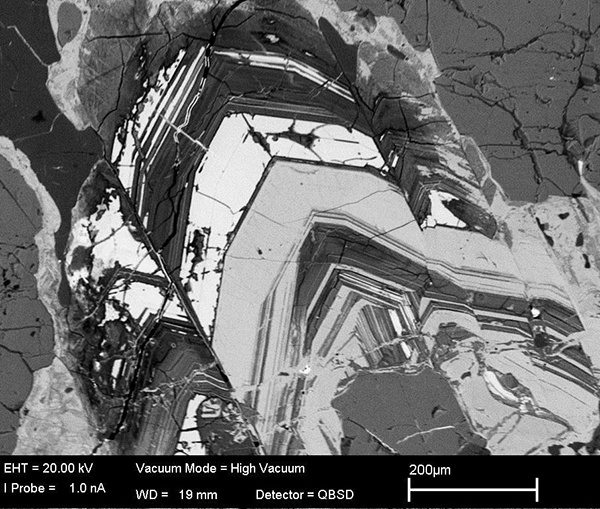 Back-scattered electron image of large zoned allanite in hydrothermal vein, Loch Loyal syenite complex (Walters et al., 2013)
